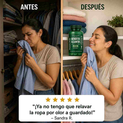 Bendito Alcanfor - Elimina el Olor a Encerrado y Disfruta la Frescura