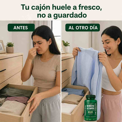 Bendito Alcanfor - Elimina el Olor a Encerrado y Disfruta la Frescura